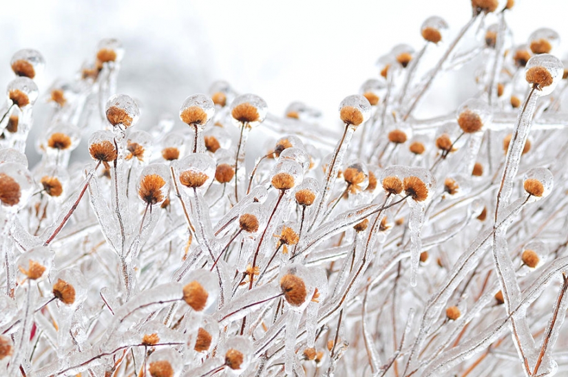 Helado de inspiración — 23 fotos de interesantes formaciones de hielo