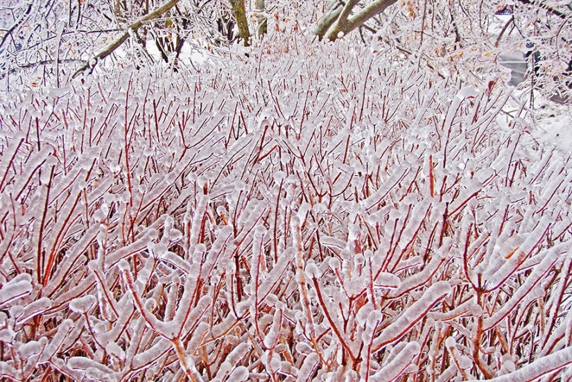 Helado de inspiración — 23 fotos de interesantes formaciones de hielo