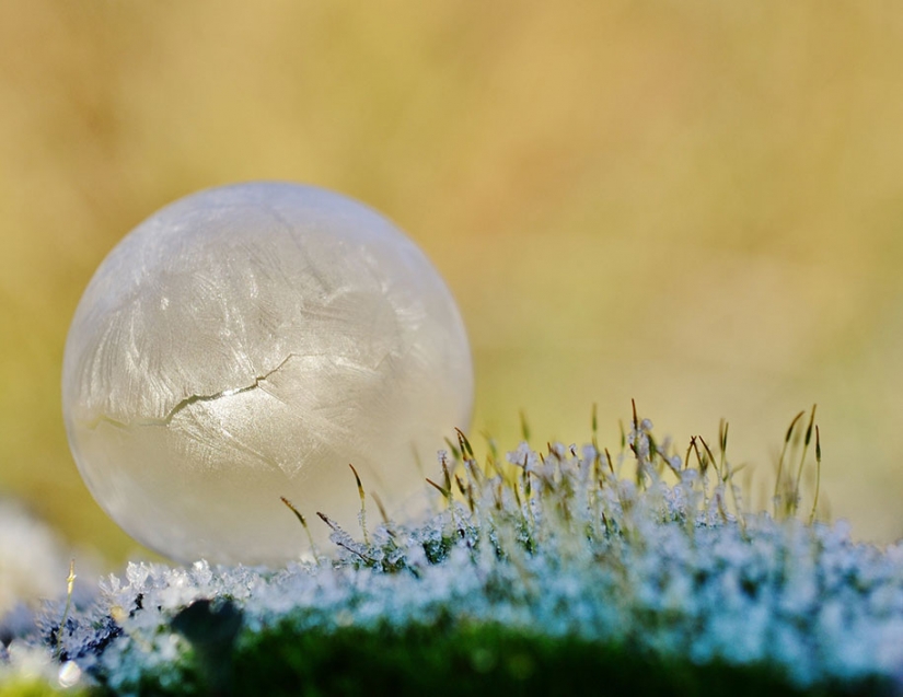Helado de inspiración — 23 fotos de interesantes formaciones de hielo