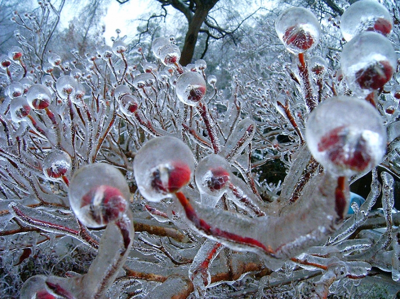 Helado de inspiración — 23 fotos de interesantes formaciones de hielo