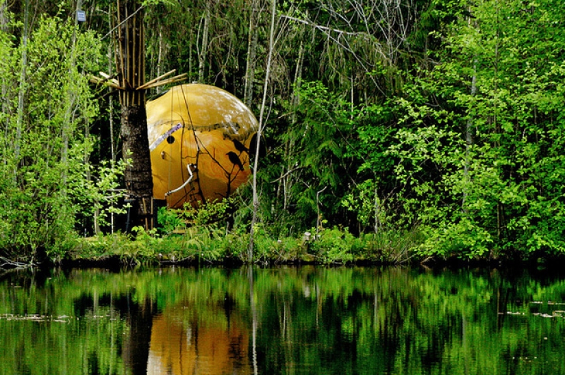 Hotel canadiense para aquellos que no han dejado de soñar con una casa en un árbol