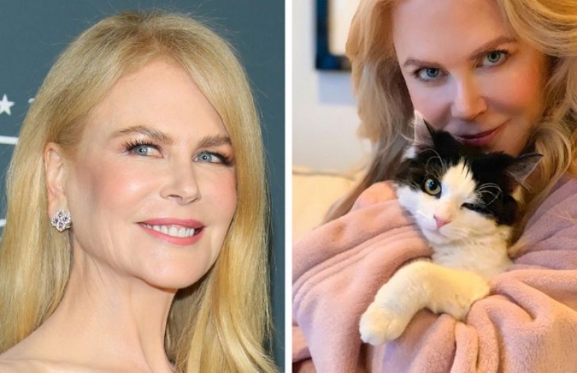 How 15 celebrities look in professional and home photos without filters