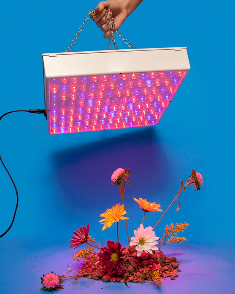 How it's done: Photographer sneers at silly instructions