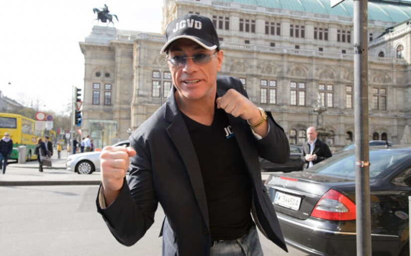 How Jean-Claude Van Damme saved a Chihuahua puppy Paradise from death How Jean-Claude Van Damme saved a Chihuahua puppy Paradise from death