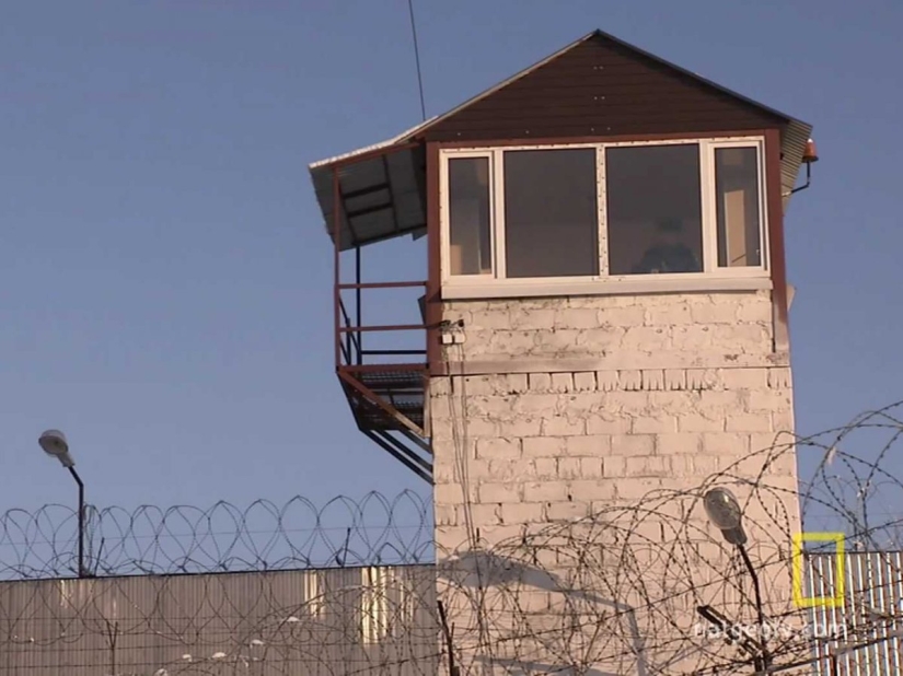 How one of the harshest prisons in Russia, the Black Dolphin, works