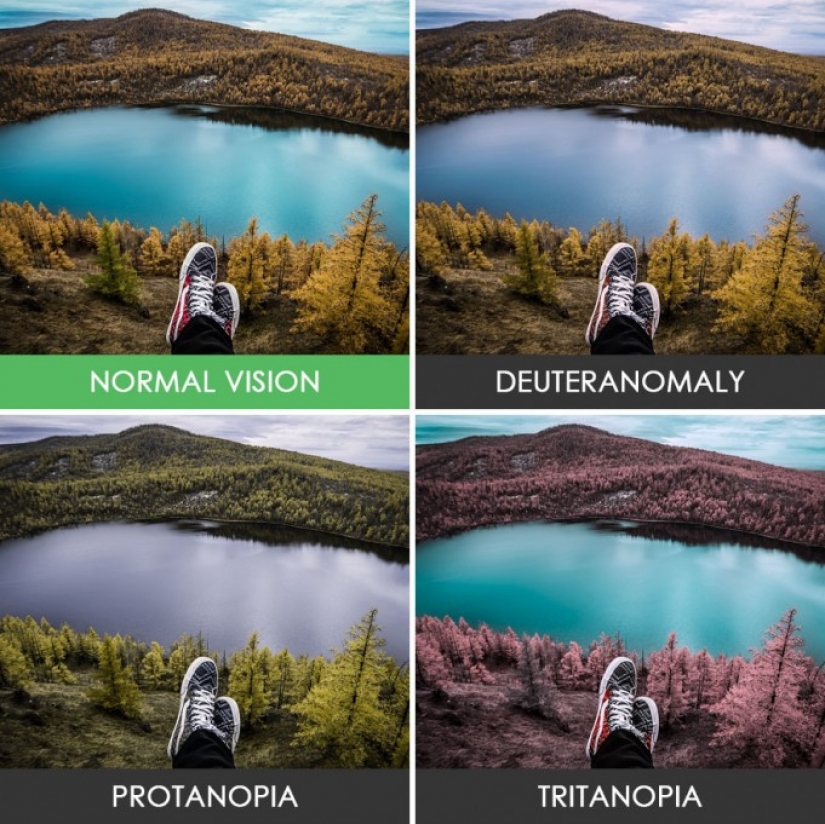 How people with color blindness see the world