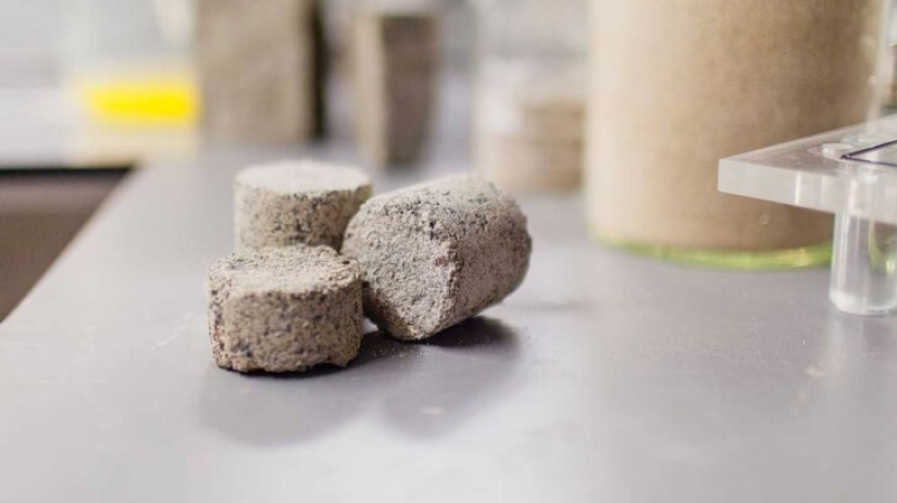 How South African students make bricks out of urine How South African students make bricks out of urine