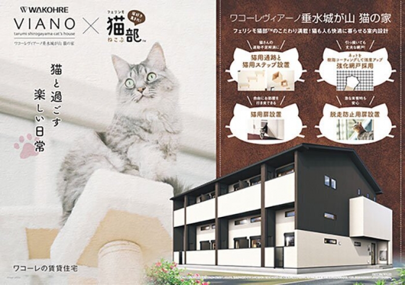 How to construct a home for lonely cat-lovers in Japan