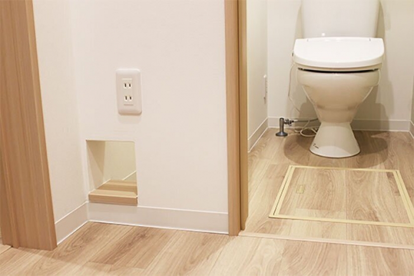 How to construct a home for lonely cat-lovers in Japan