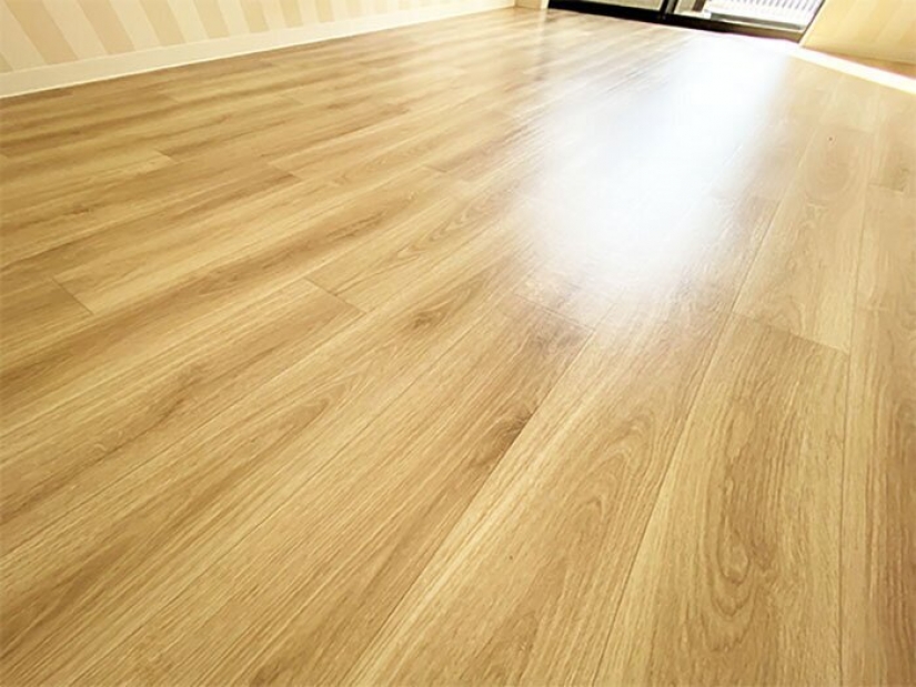 How to construct a home for lonely cat-lovers in Japan