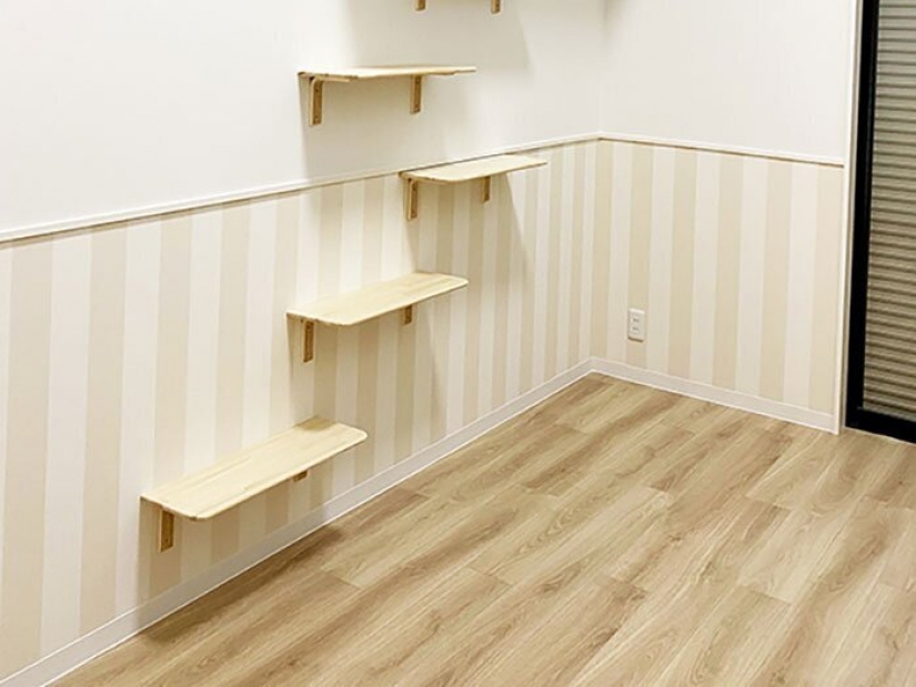 How to construct a home for lonely cat-lovers in Japan