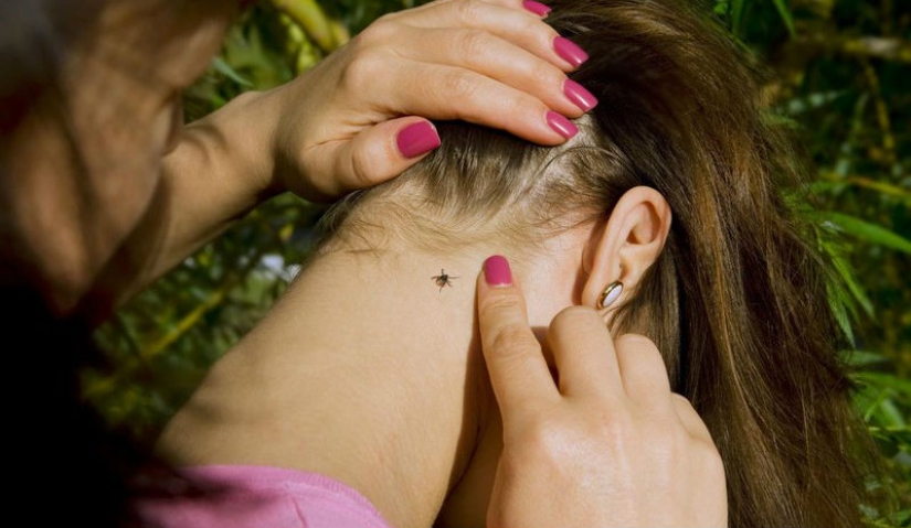 How to escape from ticks? Forewarned means armed