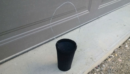 How to Make a Simple mosquito Trap that Kills Insects with 98 Percent Efficiency