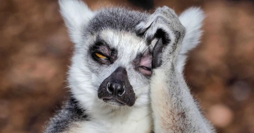 How to stop noting and start living: a short guide at the exit of the Christmas holidays