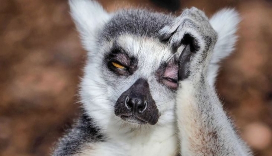 How to stop noting and start living: a short guide at the exit of the Christmas holidays How to stop noting and start living: a short guide at the exit of the Christmas holidays