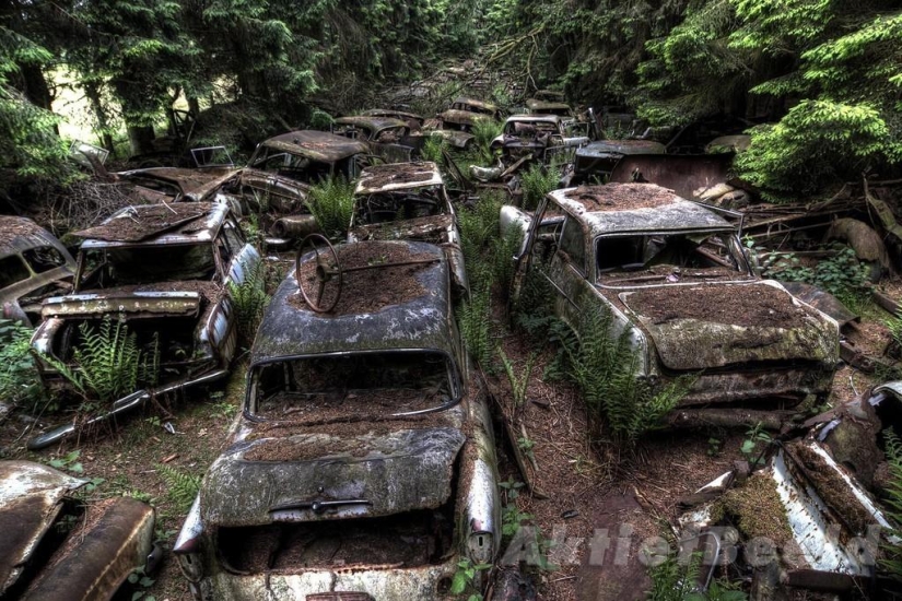 Huge traffic jam in the Belgian forest