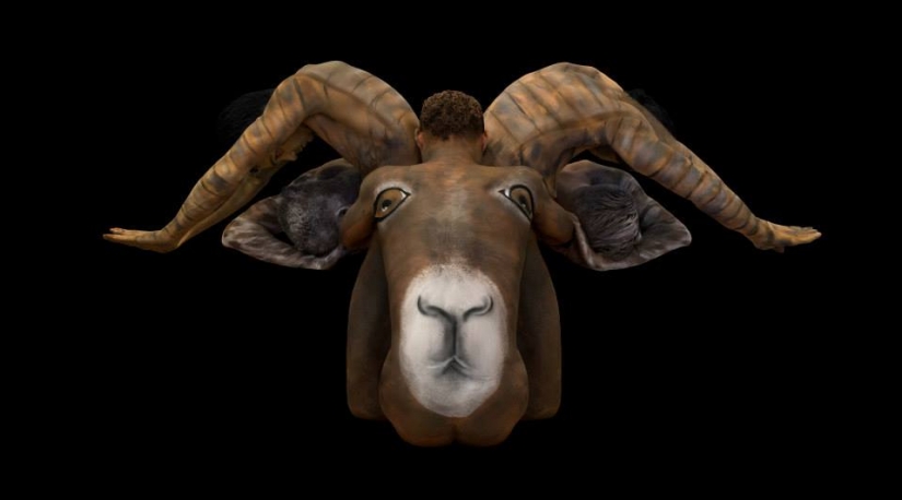 Human bodies hidden in the signs of the zodiac