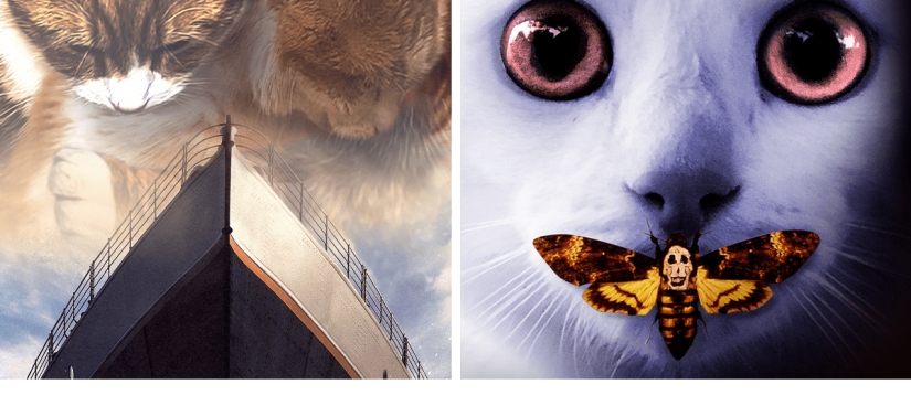 If dogs and cats played in blockbusters