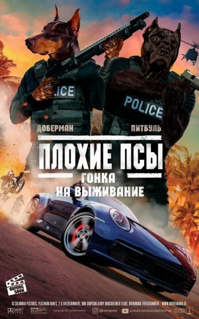 If dogs and cats played in blockbusters