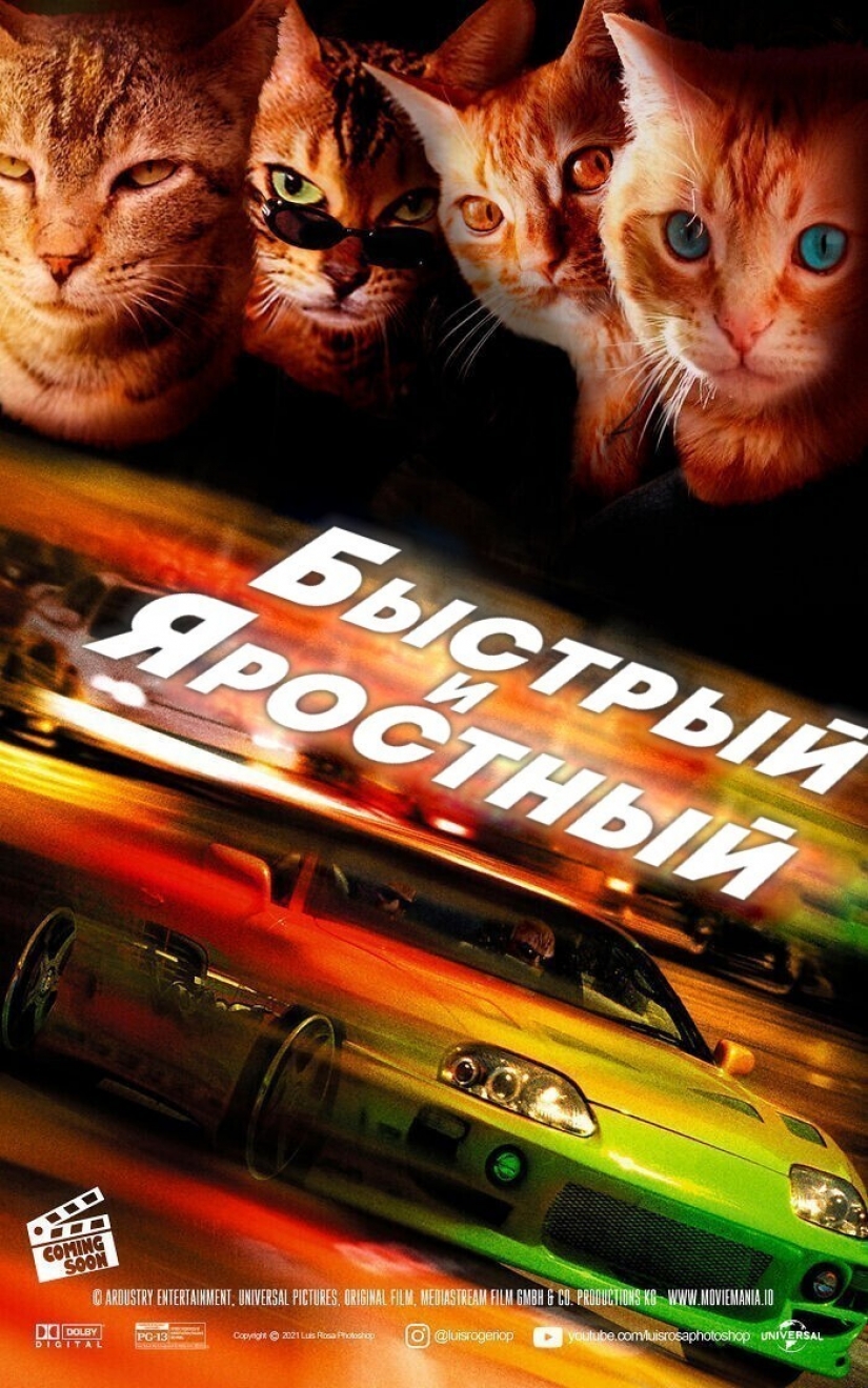 If dogs and cats played in blockbusters