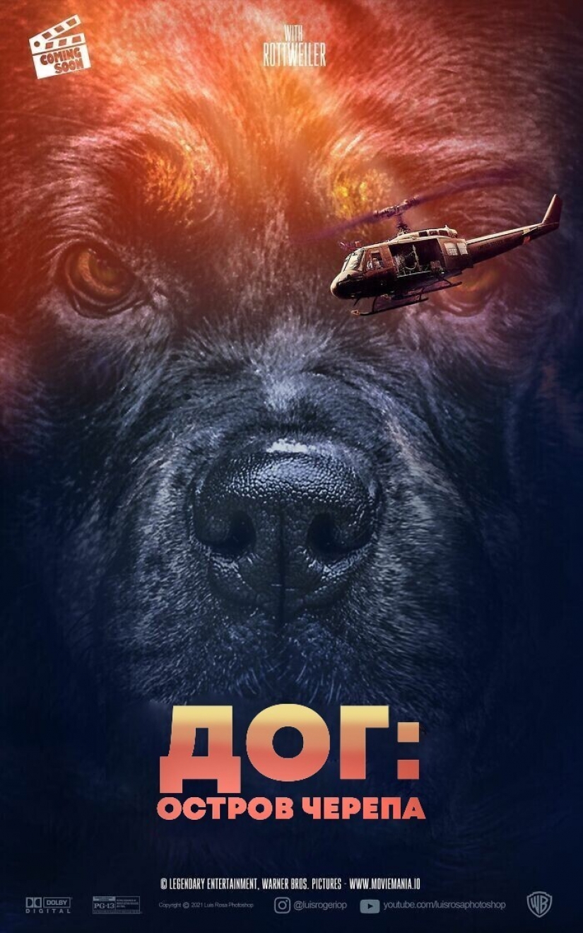 If dogs and cats played in blockbusters