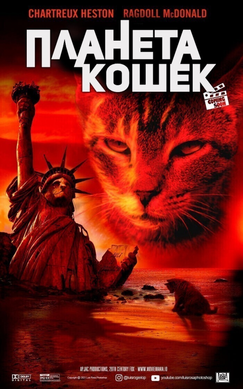 If dogs and cats played in blockbusters