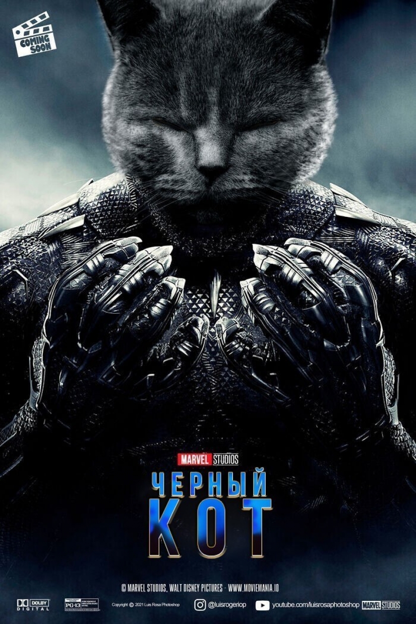 If dogs and cats played in blockbusters