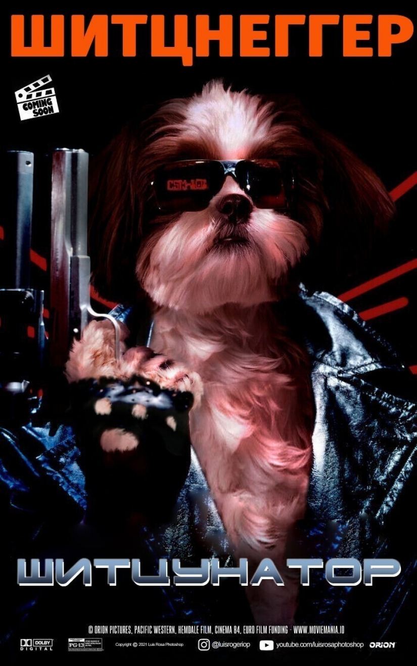 If dogs and cats played in blockbusters