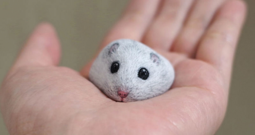 I'm not a cat, don't stroke me: the artist reveals the unique nature of the stones I'm not a cat, don't stroke me: the artist reveals the unique nature of the stones