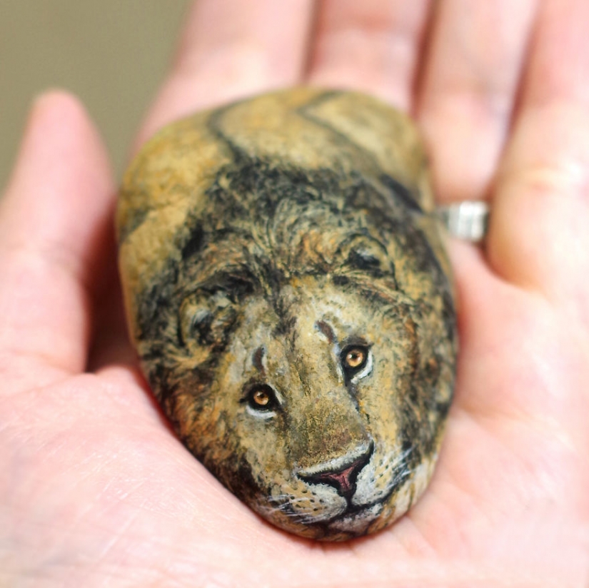 I'm not a cat, don't stroke me: the artist reveals the unique nature of the stones I'm not a cat, don't stroke me: the artist reveals the unique nature of the stones