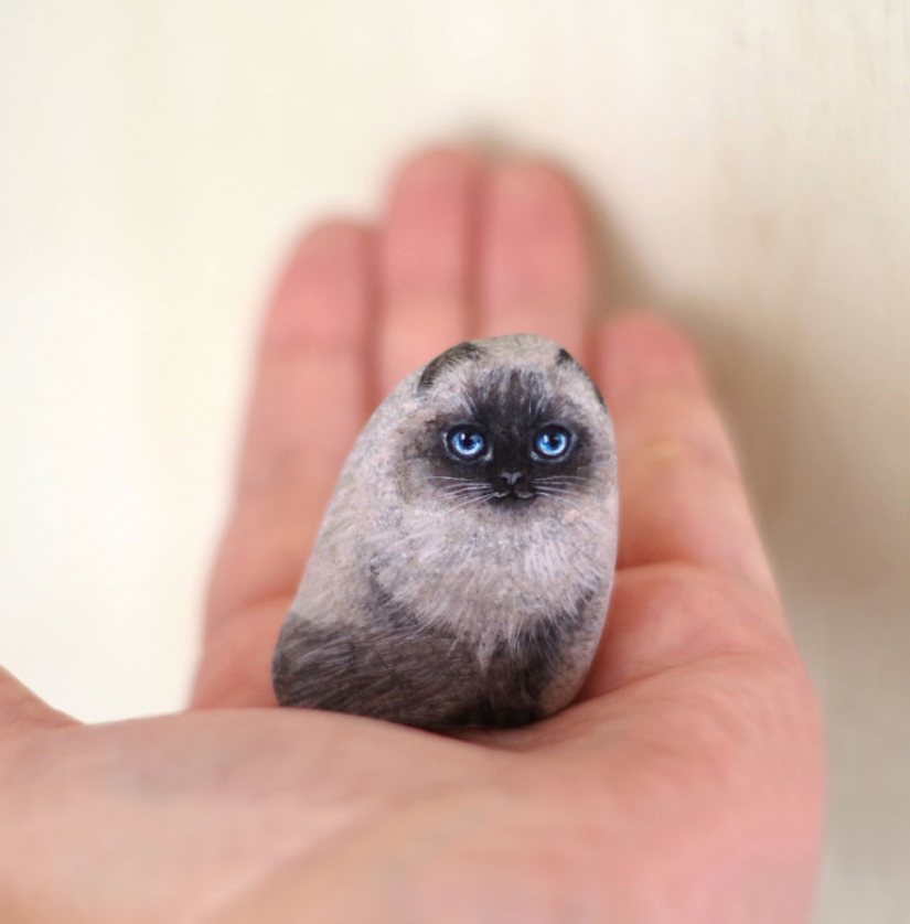 I'm not a cat, don't stroke me: the artist reveals the unique nature of the stones I'm not a cat, don't stroke me: the artist reveals the unique nature of the stones