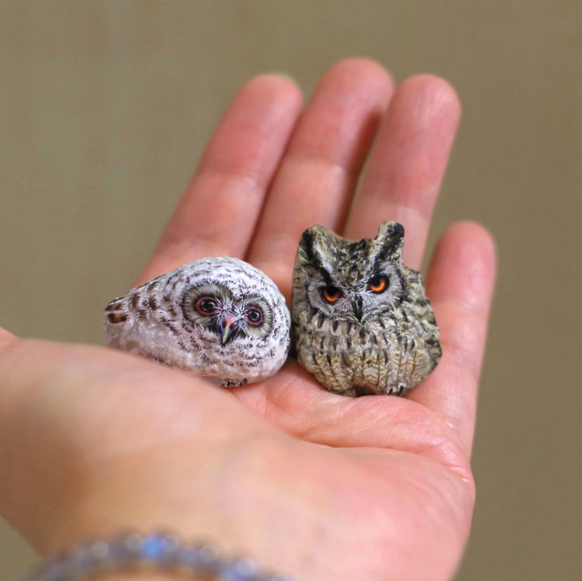 I'm not a cat, don't stroke me: the artist reveals the unique nature of the stones I'm not a cat, don't stroke me: the artist reveals the unique nature of the stones