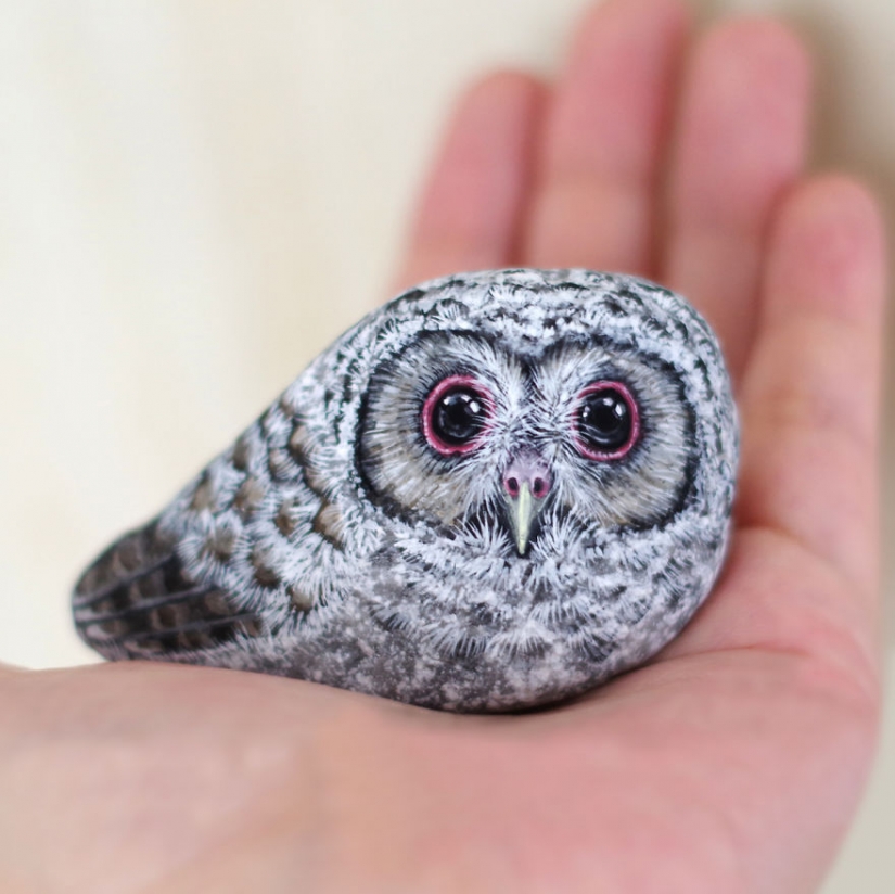 I'm not a cat, don't stroke me: the artist reveals the unique nature of the stones I'm not a cat, don't stroke me: the artist reveals the unique nature of the stones