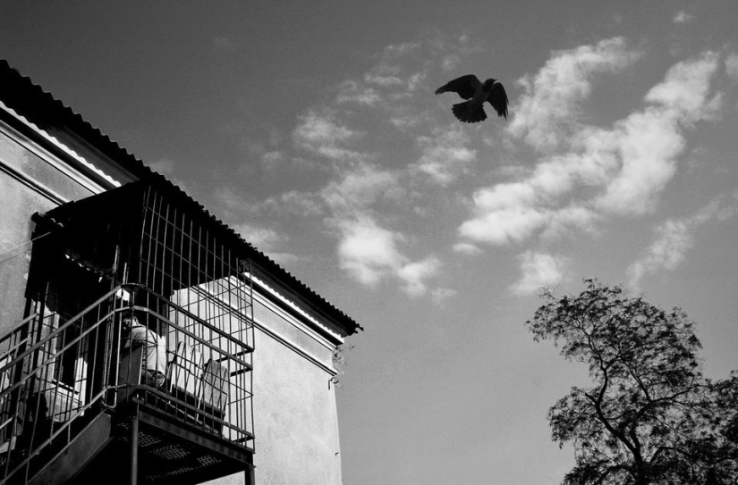 Impactantes obras de un fotógrafo ucraniano que vivía en un hospital psiquiátrico Impactantes obras de un fotógrafo ucraniano que vivía en un hospital psiquiátrico