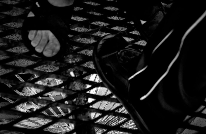 Impactantes obras de un fotógrafo ucraniano que vivía en un hospital psiquiátrico Impactantes obras de un fotógrafo ucraniano que vivía en un hospital psiquiátrico