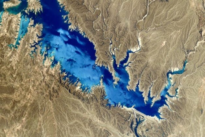 Impresionantes fotos del astronauta francés de SpaceX capturan auroras brillantes y furiosos incendios forestales Impresionantes fotos del astronauta francés de SpaceX capturan auroras brillantes y furiosos incendios forestales