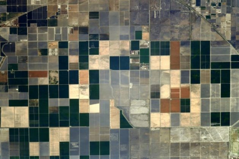 Impresionantes fotos del astronauta francés de SpaceX capturan auroras brillantes y furiosos incendios forestales Impresionantes fotos del astronauta francés de SpaceX capturan auroras brillantes y furiosos incendios forestales