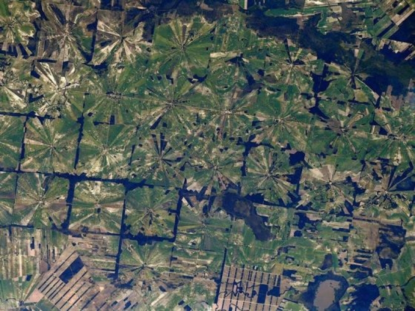 Impresionantes fotos del astronauta francés de SpaceX capturan auroras brillantes y furiosos incendios forestales Impresionantes fotos del astronauta francés de SpaceX capturan auroras brillantes y furiosos incendios forestales