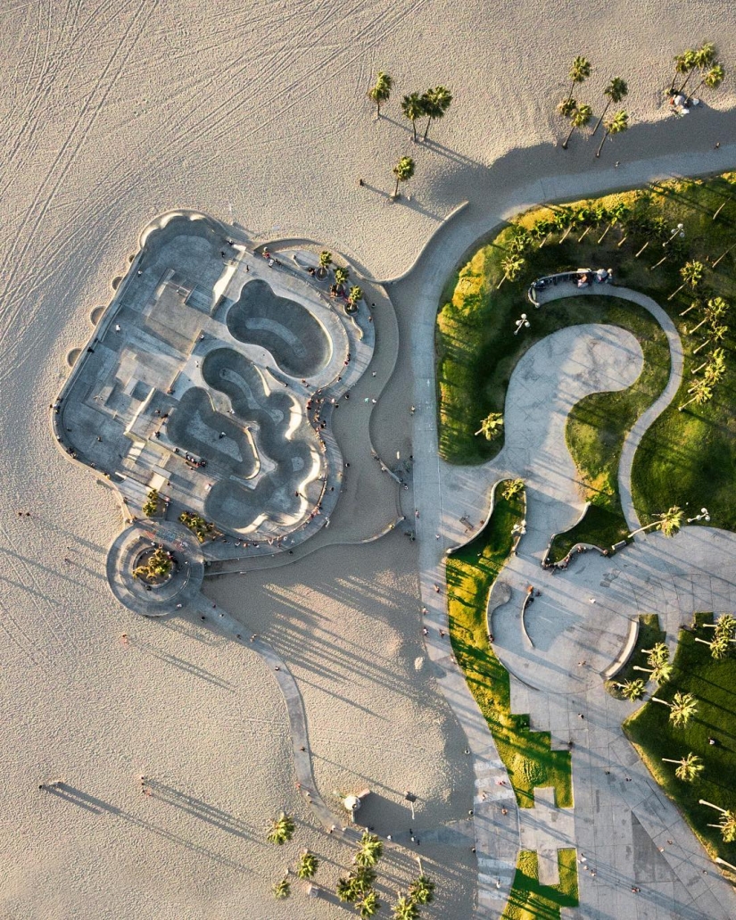 Impresionantes imágenes de la confrontación de los leones y los cocodrilos Impresionantes imágenes de la confrontación de los leones y los cocodrilos