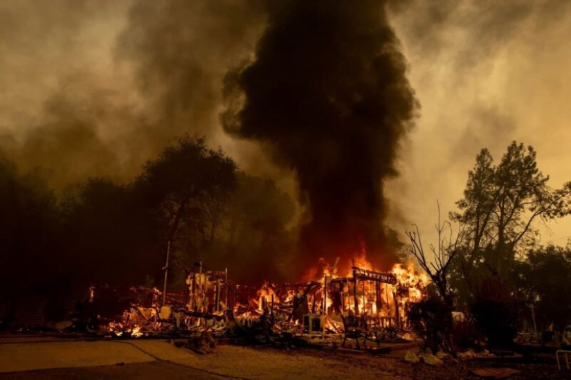 In California, a shaman boiled bear urine and started a huge forest fire