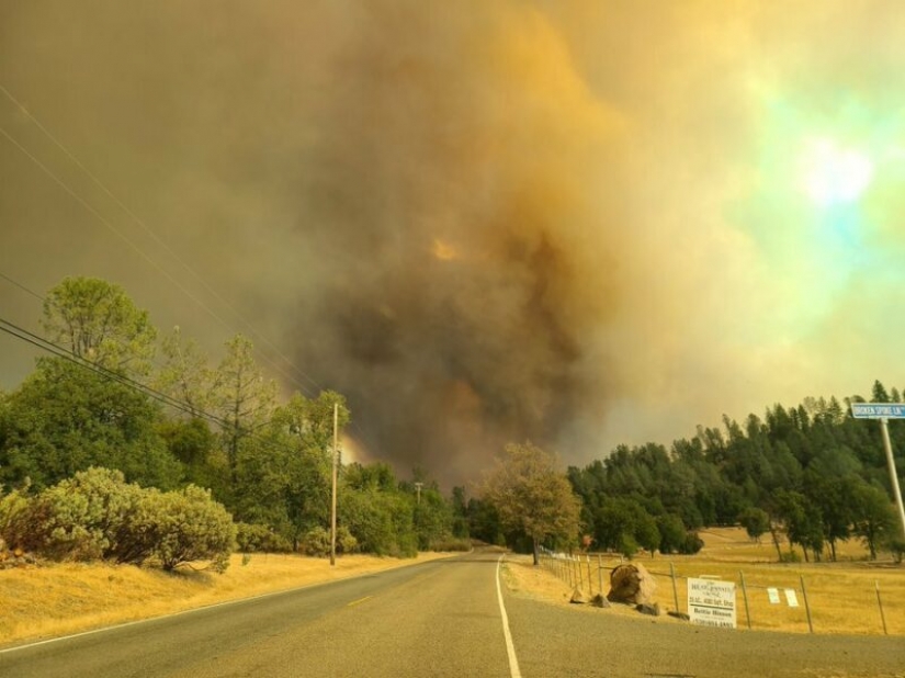 In California, a shaman boiled bear urine and started a huge forest fire