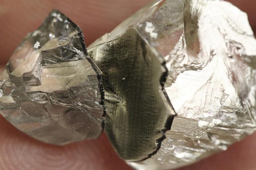 In half: the usual things, cut into pieces In half: the usual things, cut into pieces