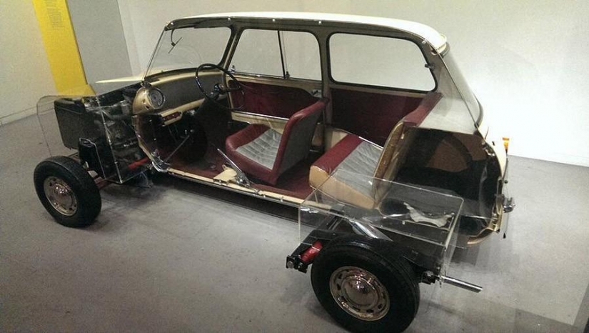 In half: the usual things, cut into pieces In half: the usual things, cut into pieces