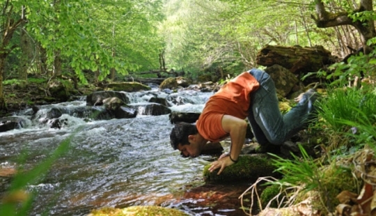 In Hawaii, they found a river with alcohol, but scientists, as always, ruined everything