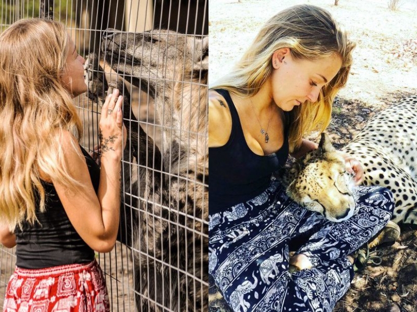 In the arms of cheetahs: this girl lives in the wild and considers predators friends