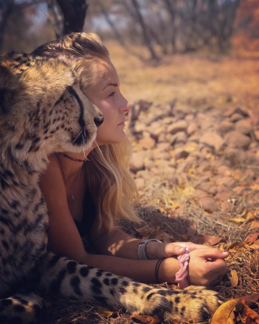 In the arms of cheetahs: this girl lives in the wild and considers predators friends