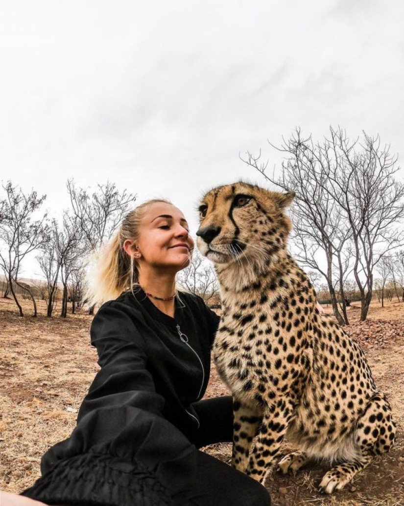 In the arms of cheetahs: this girl lives in the wild and considers predators friends