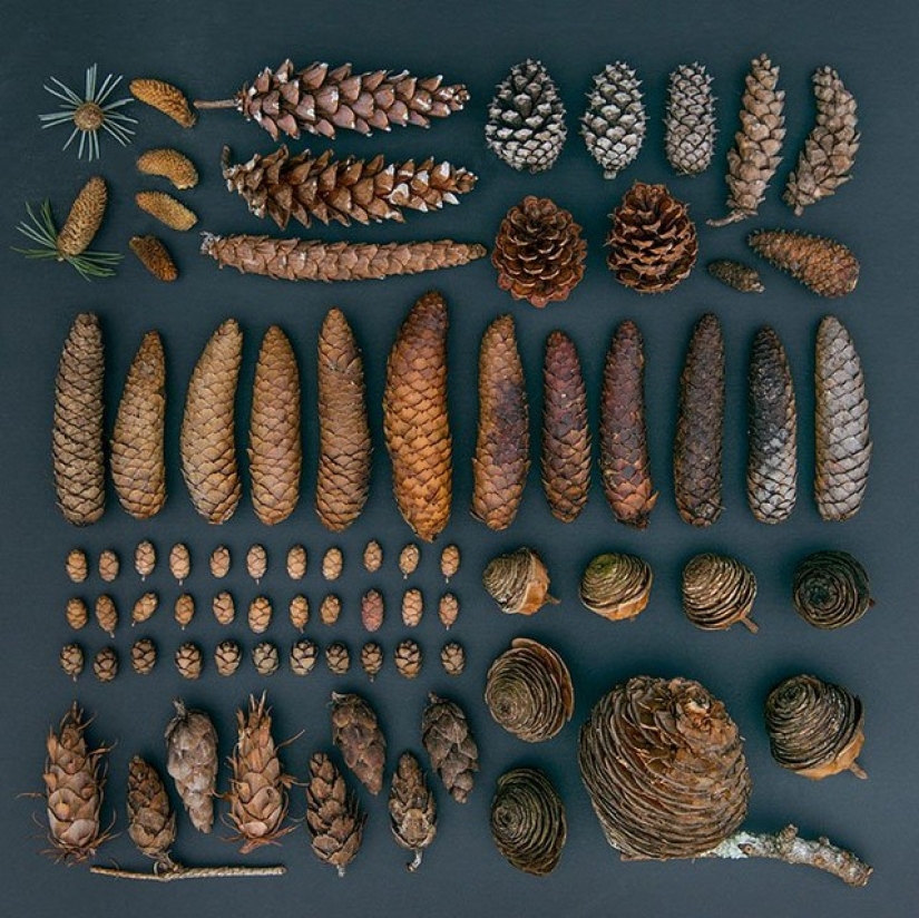 In the order of things In the order of things