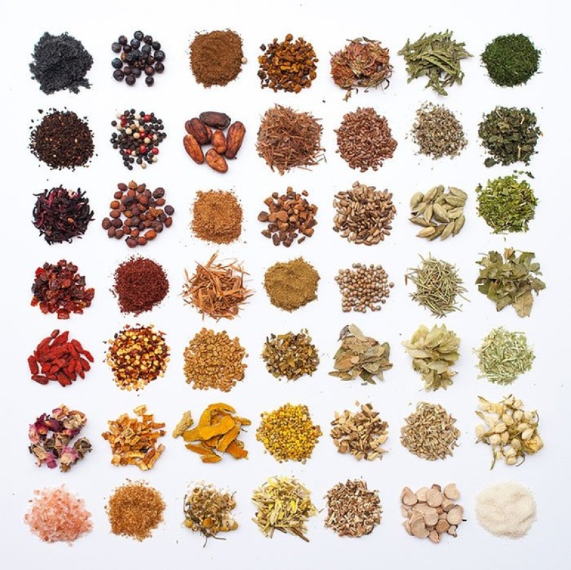 In the order of things In the order of things