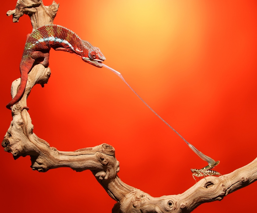 In the right place at the right time In the right place at the right time